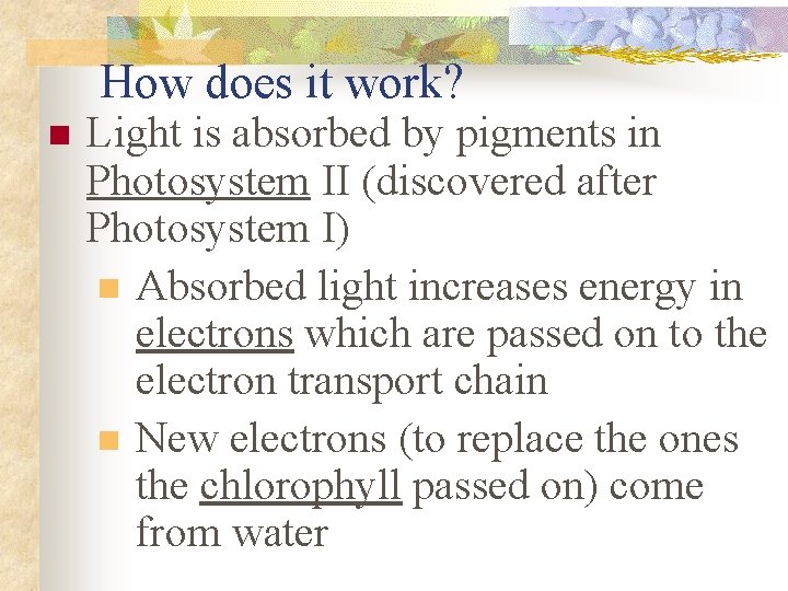 How does it work? n Light is absorbed by pigments in Photosystem II (discovered