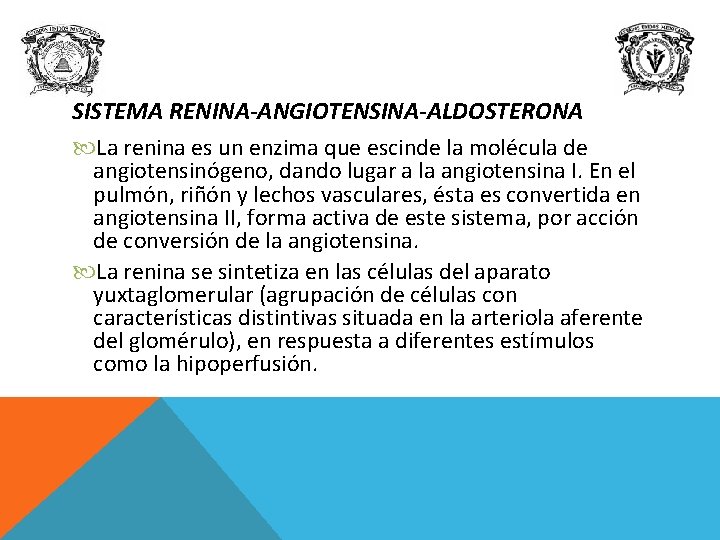 SISTEMA RENINA-ANGIOTENSINA-ALDOSTERONA La renina es un enzima que escinde la molécula de angiotensinógeno, dando