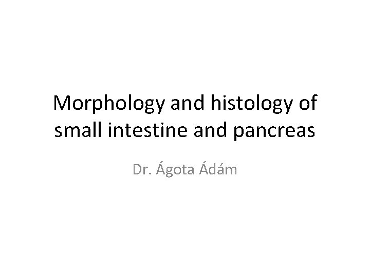 Morphology and histology of small intestine and pancreas Dr. Ágota Ádám 