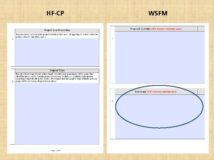 HF-CP WSFM 