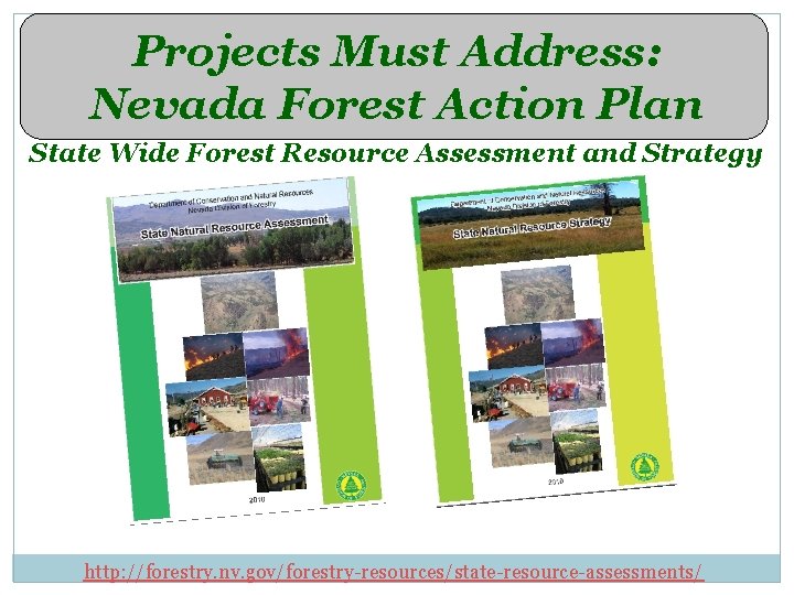 Projects Must Address: Nevada Forest Action Plan State Wide Forest Resource Assessment and Strategy