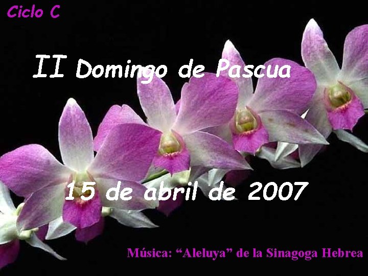 Ciclo C II Domingo de Pascua 15 de abril de 2007 Música: “Aleluya” de