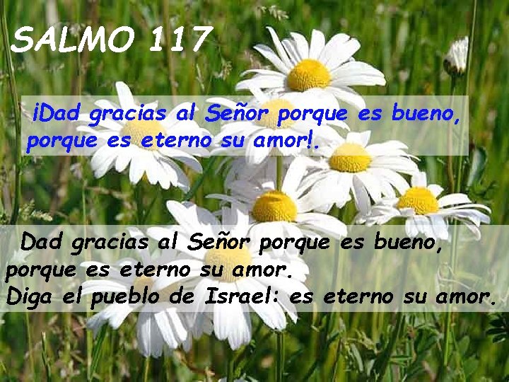 SALMO 117 ¡Dad gracias al Señor porque es bueno, porque es eterno su amor!.