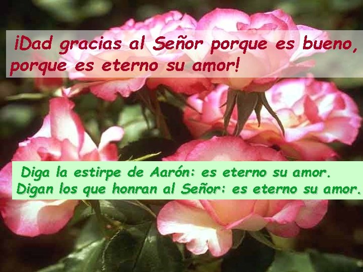 ¡Dad gracias al Señor porque es bueno, porque es eterno su amor! Diga la