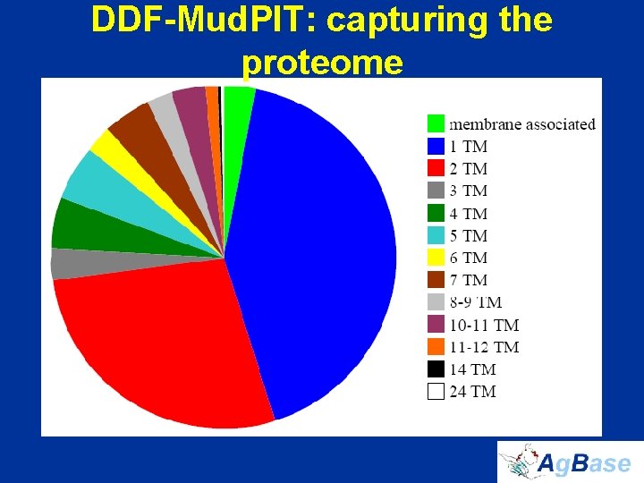 DDF-Mud. PIT: capturing the proteome 