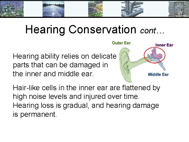 Hearing Conservation cont… Hearing ability relies on delicate parts that can be damaged in