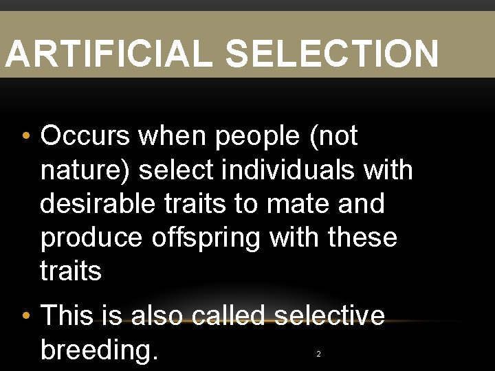 ARTIFICIAL SELECTION • Occurs when people (not nature) select individuals with desirable traits to