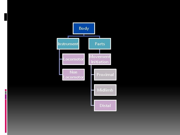 Body Instrument Locomotor Non Locomotor Parts Movement Initiation Proximal Midlimb Distal 