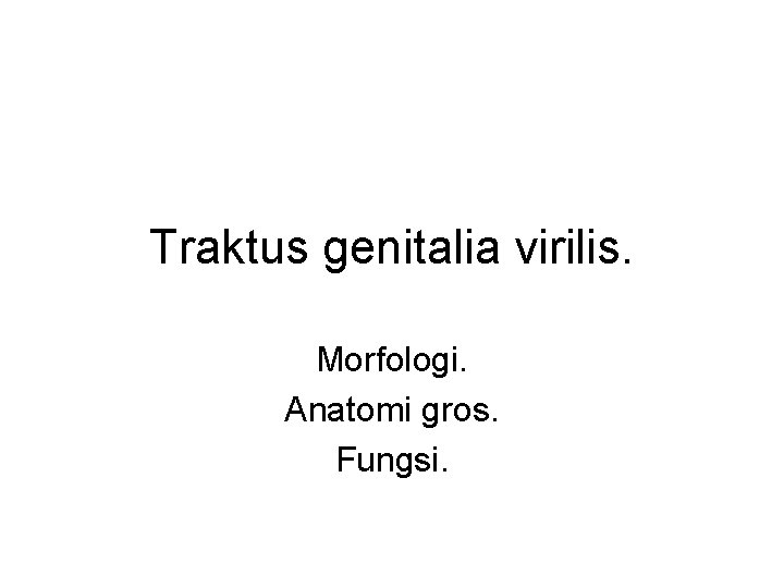 Traktus genitalia virilis. Morfologi. Anatomi gros. Fungsi. 