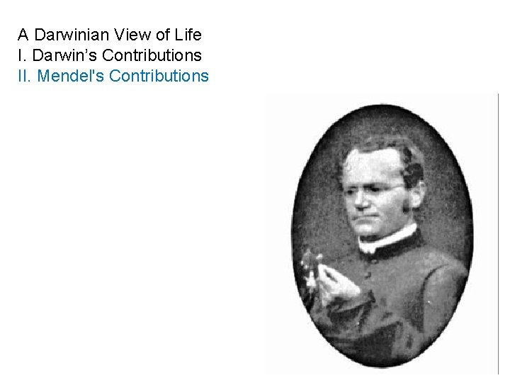 A Darwinian View of Life I. Darwin’s Contributions II. Mendel's Contributions 