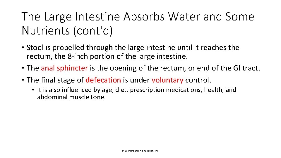 The Large Intestine Absorbs Water and Some Nutrients (cont'd) • Stool is propelled through