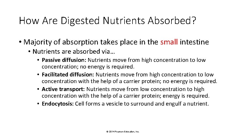 How Are Digested Nutrients Absorbed? • Majority of absorption takes place in the small