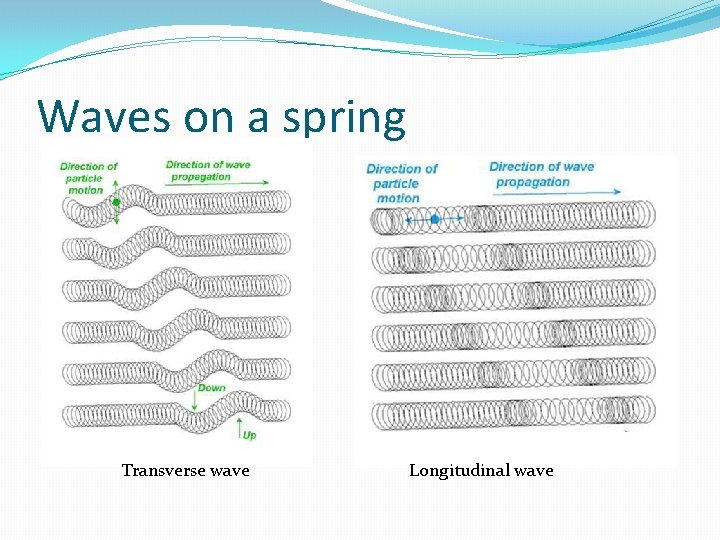Waves on a spring Transverse wave Longitudinal wave 
