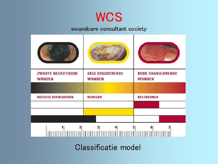 WCS woundcare consultant society Classificatie model 