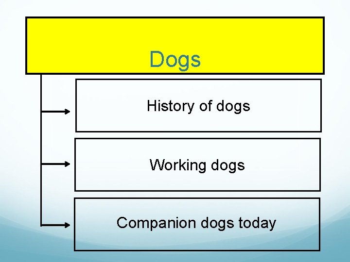 Dogs History of dogs Working dogs Companion dogs today 