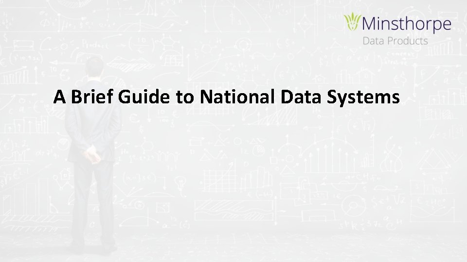 A Brief Guide to National Data Systems 