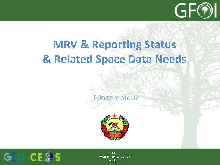 MRV & Reporting Status & Related Space Data Needs Mozambique SDCG‐ 11 Ho Chi