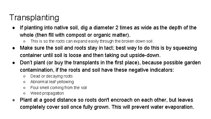 Transplanting ● If planting into native soil, dig a diameter 2 times as wide