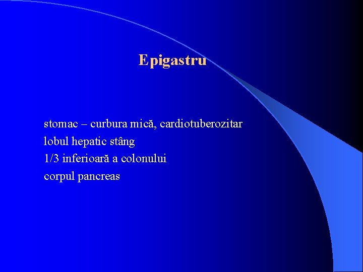 Epigastru stomac – curbura mică, cardiotuberozitar lobul hepatic stâng 1/3 inferioară a colonului corpul