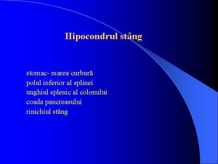 Hipocondrul stâng stomac- marea curbură polul inferior al splinei unghiul splenic al colonului coada Hipocondrul stâng stomac- marea curbură polul inferior al splinei unghiul splenic al colonului coada