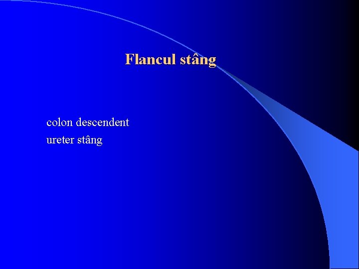 Flancul stâng colon descendent ureter stâng 