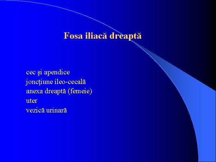 Fosa iliacă dreaptă cec şi apendice joncţiune ileo-cecală anexa dreaptă (femeie) uter vezică urinară