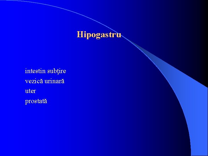 Hipogastru intestin subţire vezică urinară uter prostată 