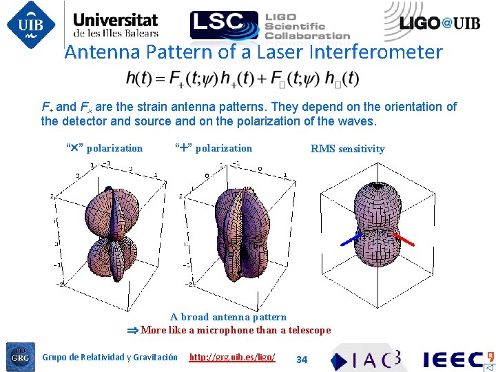 Antenna Pattern of a Laser Interferometer F+ and F are the strain antenna patterns.