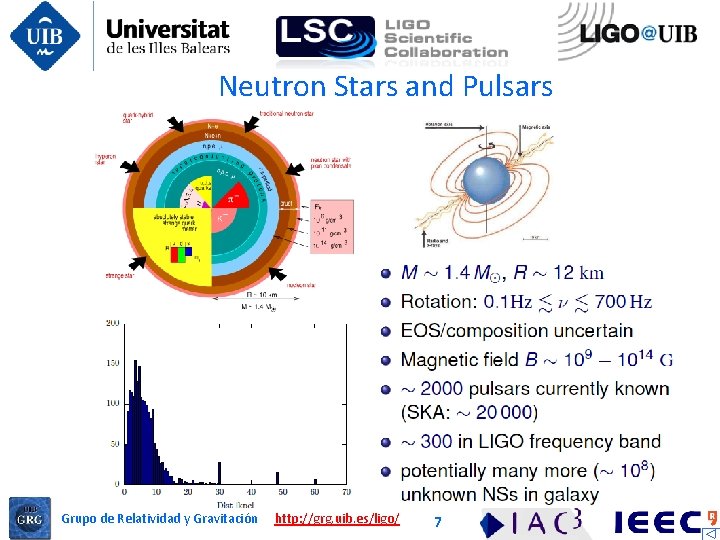 Neutron Stars and Pulsars Grupo de Relatividad y Gravitación http: //grg. uib. es/ligo/ 7