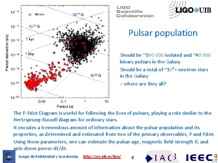 Pulsar population Should be ~160 000 isolated and ~40 000 binary pulsars in the
