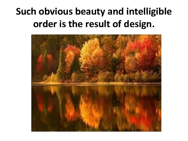 Such obvious beauty and intelligible order is the result of design. 