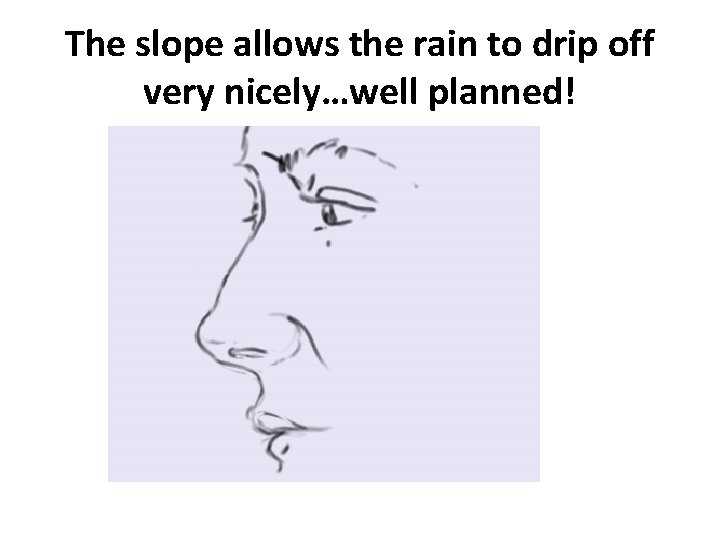 The slope allows the rain to drip off very nicely…well planned! 