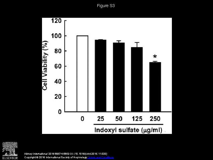 Figure S 3 Kidney International 2016 89574 -585 DOI: (10. 1016/j. kint. 2015. 11.