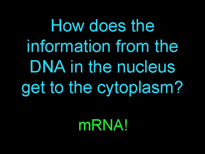 How does the information from the DNA in the nucleus get to the cytoplasm?