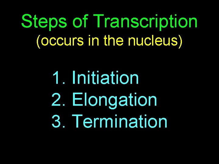 Steps of Transcription (occurs in the nucleus) 1. Initiation 2. Elongation 3. Termination 