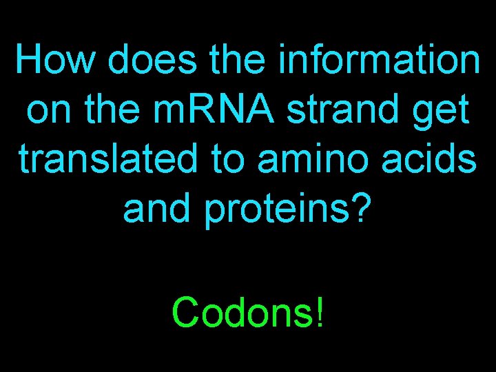 How does the information on the m. RNA strand get translated to amino acids