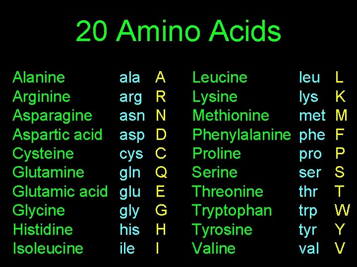 20 Amino Acids Alanine Arginine Asparagine Aspartic acid Cysteine Glutamic acid Glycine Histidine Isoleucine
