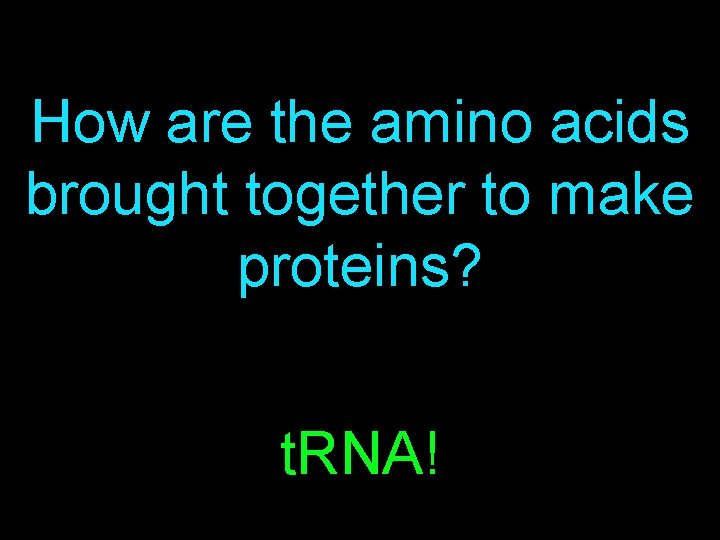 How are the amino acids brought together to make proteins? t. RNA! 