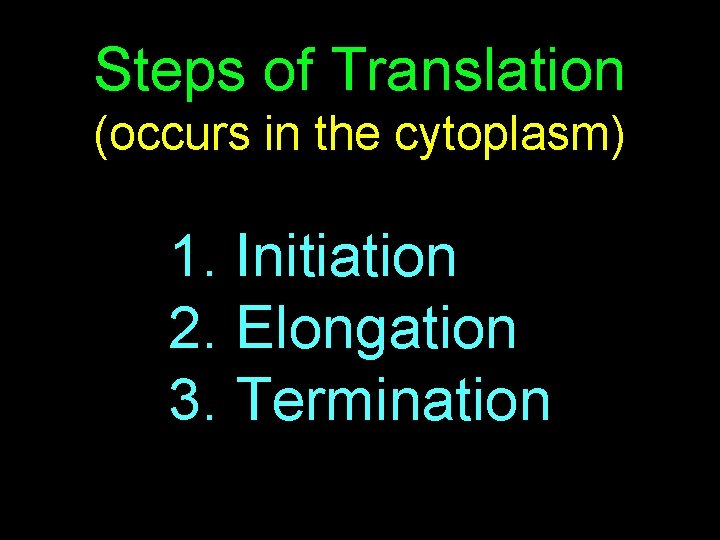 Steps of Translation (occurs in the cytoplasm) 1. Initiation 2. Elongation 3. Termination 