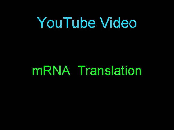 You. Tube Video m. RNA Translation 