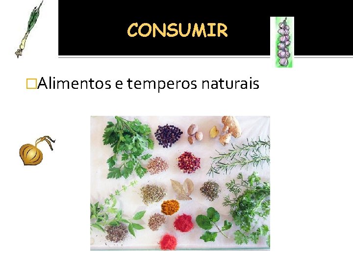 CONSUMIR �Alimentos e temperos naturais 