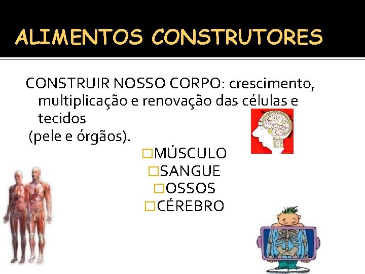 ALIMENTOS CONSTRUTORES CONSTRUIR NOSSO CORPO: crescimento, multiplicação e renovação das células e tecidos (pele