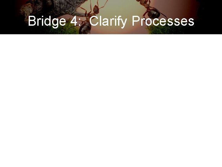 Bridge 4: Clarify Processes 