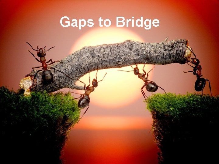 Gaps to Bridge 