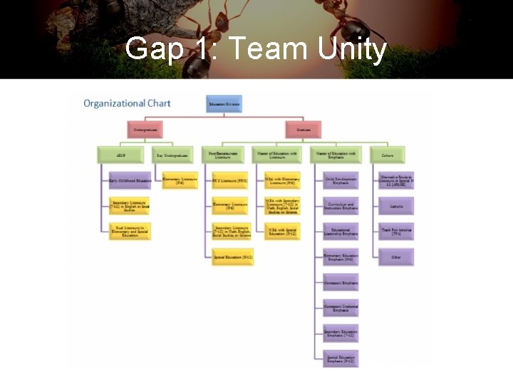 Gap 1: Team Unity 