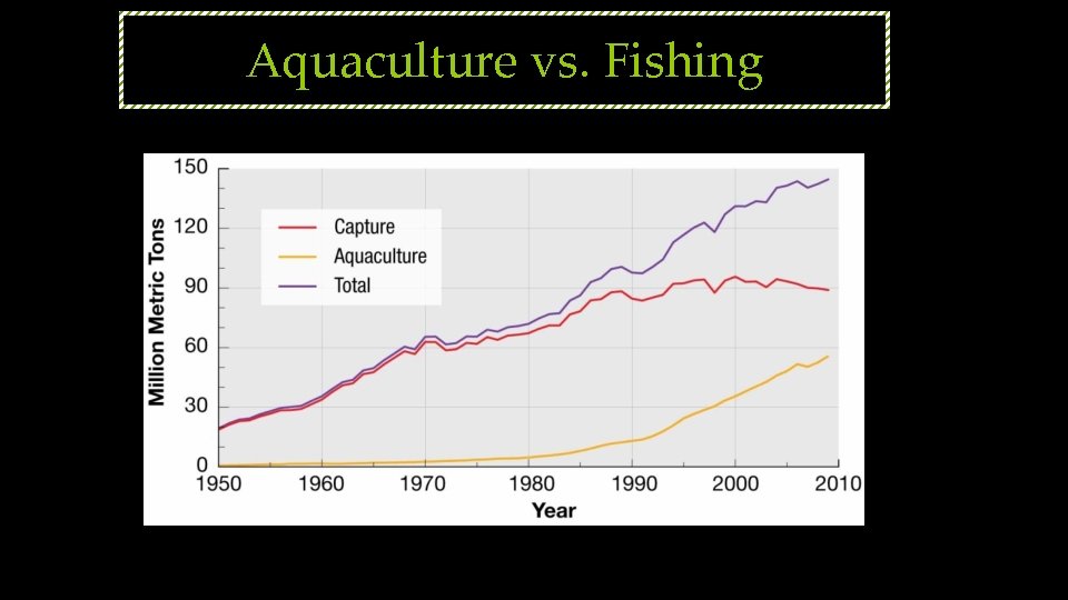 Aquaculture vs. Fishing 