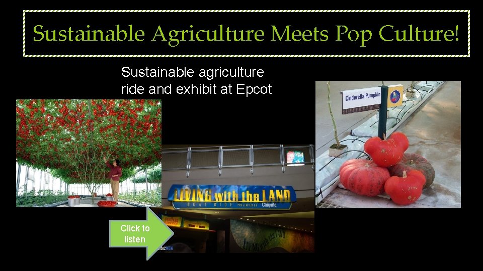 Sustainable Agriculture Meets Pop Culture! Sustainable agriculture ride and exhibit at Epcot Click to