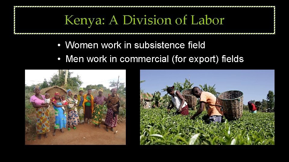 Kenya: A Division of Labor • Women work in subsistence field • Men work