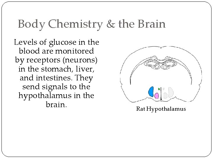 Body Chemistry & the Brain Levels of glucose in the blood are monitored by