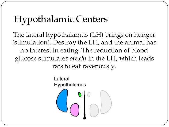 Hypothalamic Centers The lateral hypothalamus (LH) brings on hunger (stimulation). Destroy the LH, and